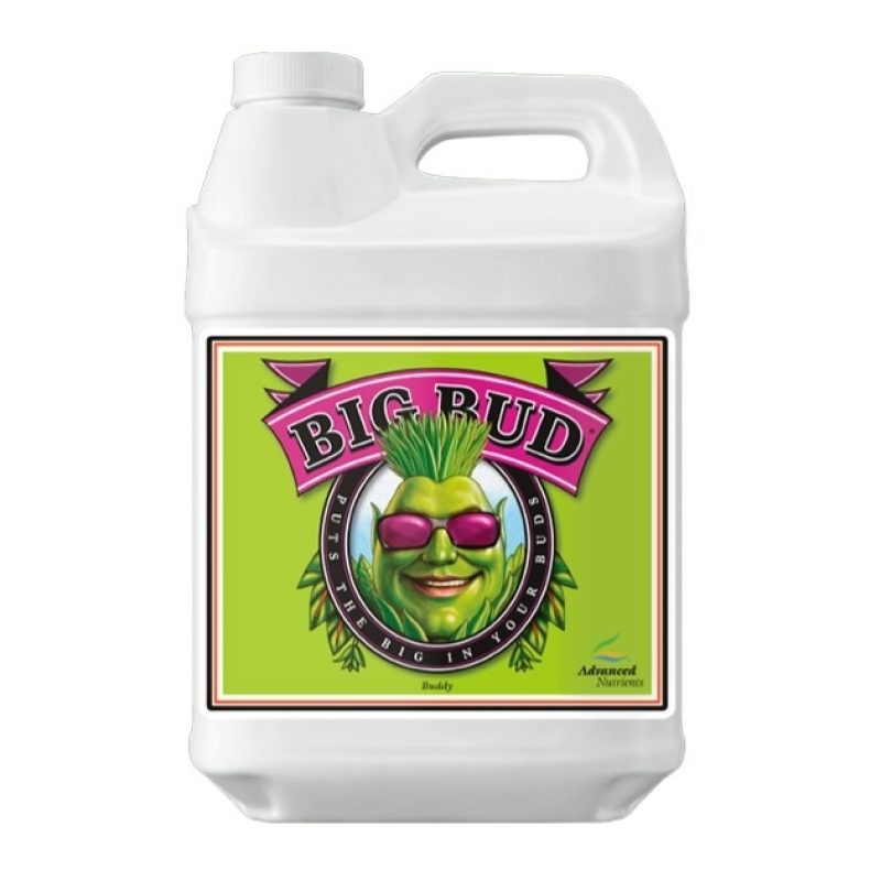 ADVANCED BIG BUD 500ML - ANBUD-02