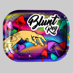BLUNT REY BANDEJA CHICA MOTIVOS VARIOS 18X14 CM - BAN13